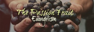 The Fruit of the Spirit Religious Website Banner
